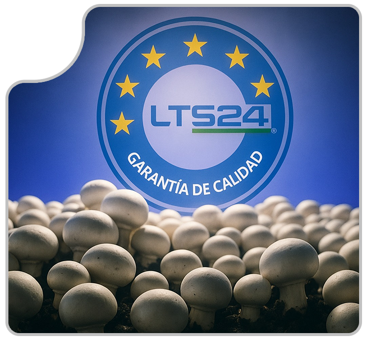 imagen cabecera